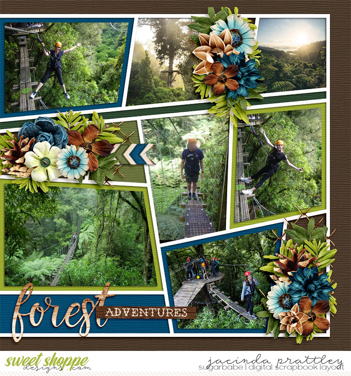 Forest Adventures 2