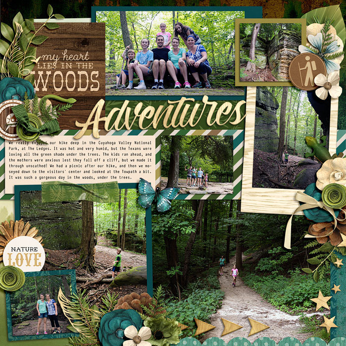 Forest Adventures
