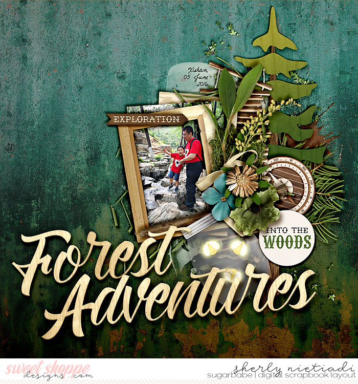 forest adventures