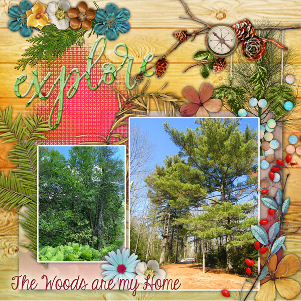 Forest Home