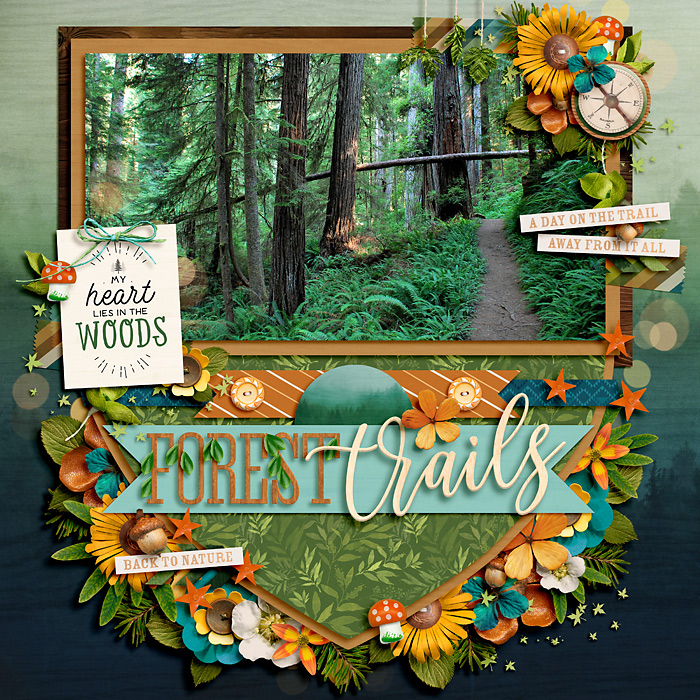Forest Trails