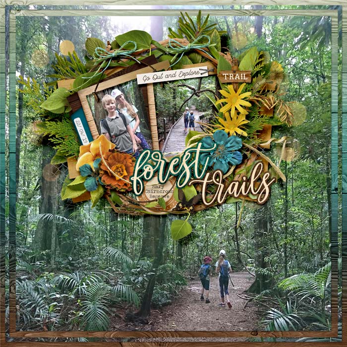 Forest Trails