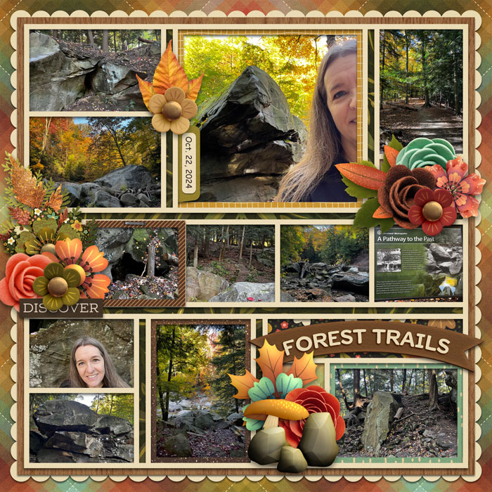 Forest Trails