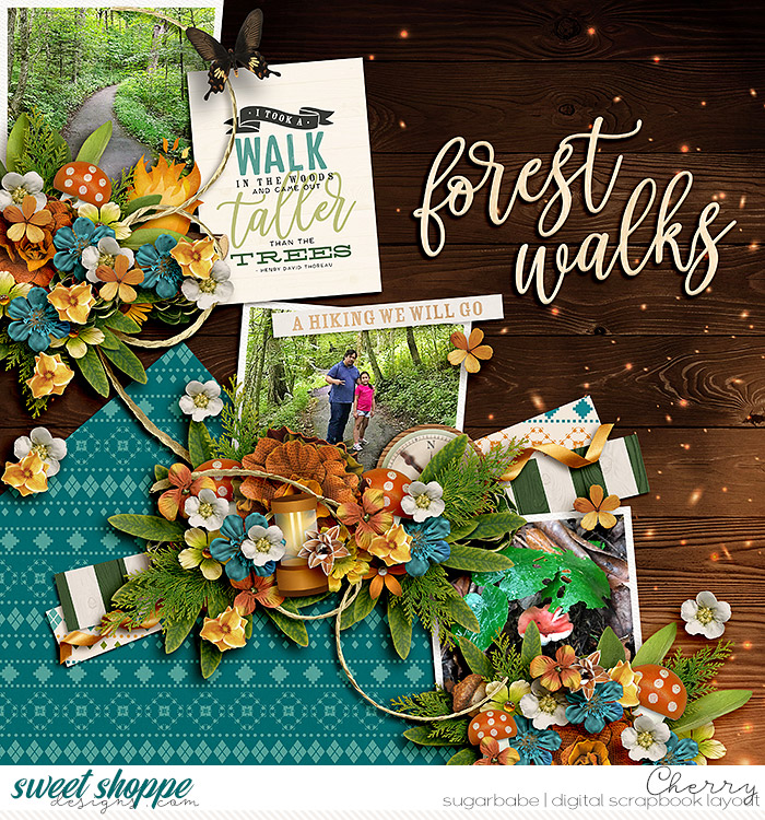Forest Walks