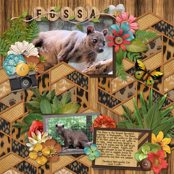 Fossa