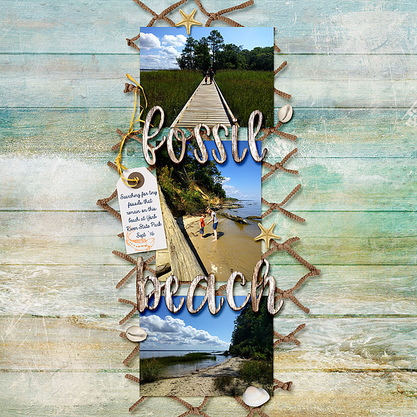 Fossil Beach
