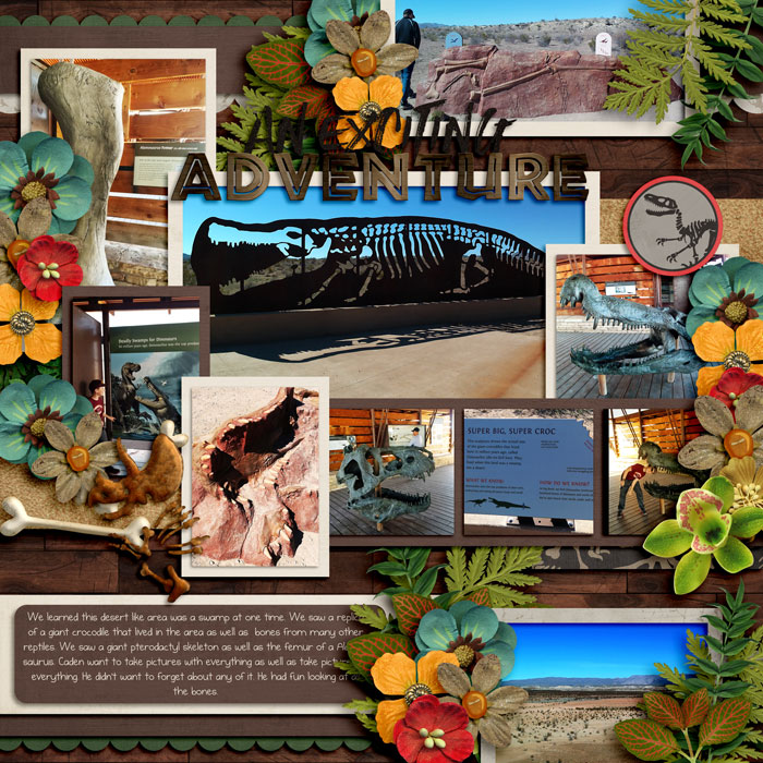 Fossils at Big Bend