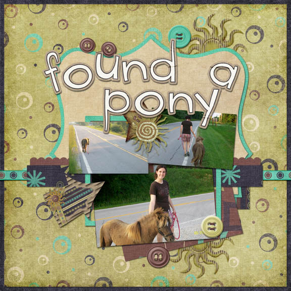 Found a Pony!