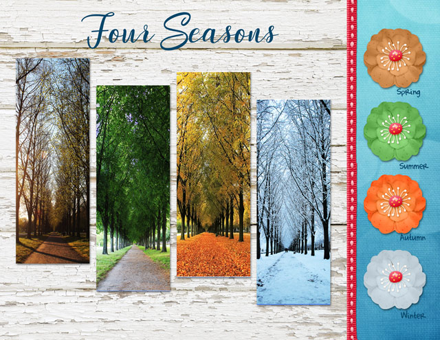Four Seasons