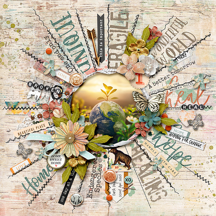 Fragile Earth