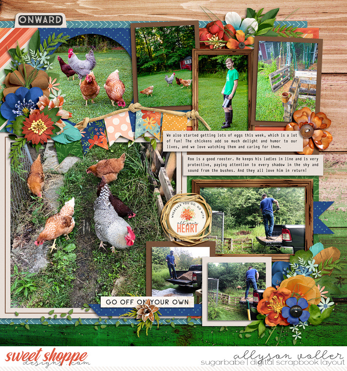 Free Ranging right