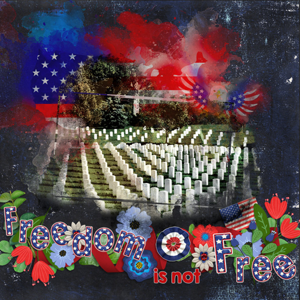 Freedom is not Free