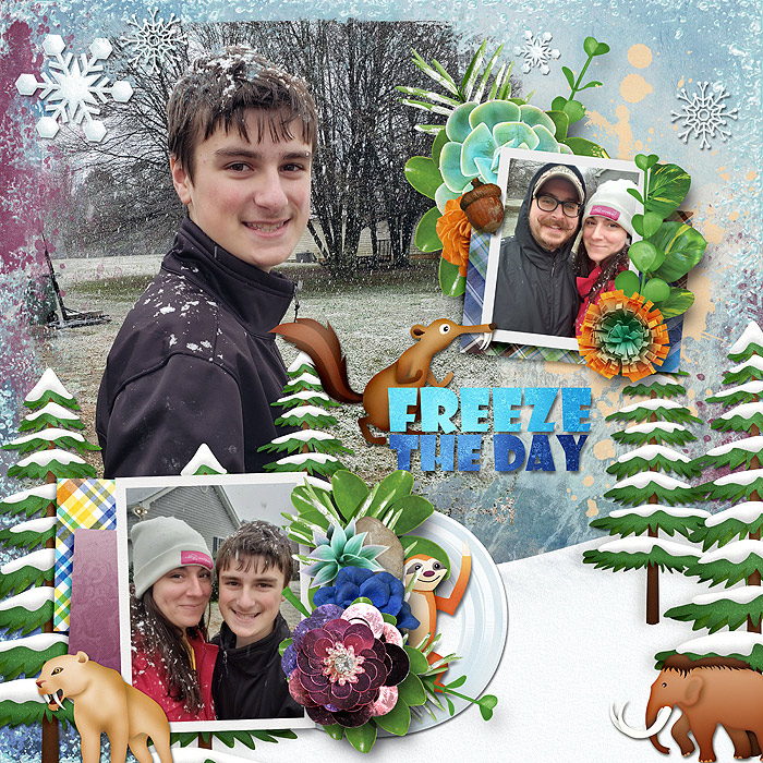 Freeze the Day