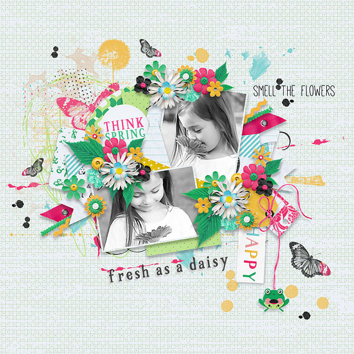 Fresh As A Daisy