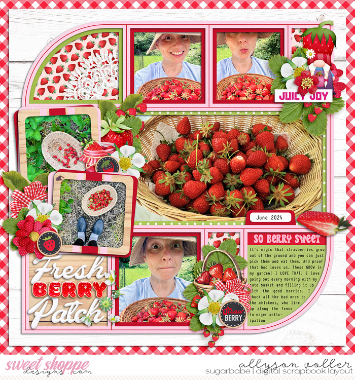 Fresh Berry Patch