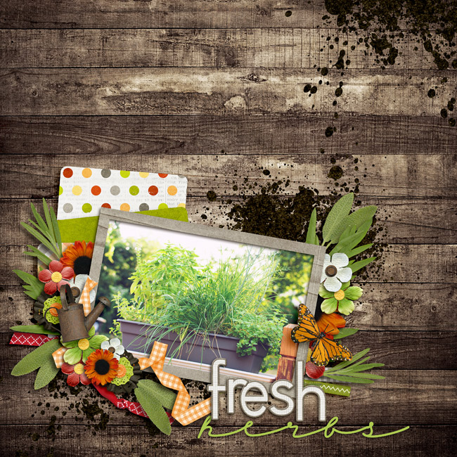Fresh Herbs
