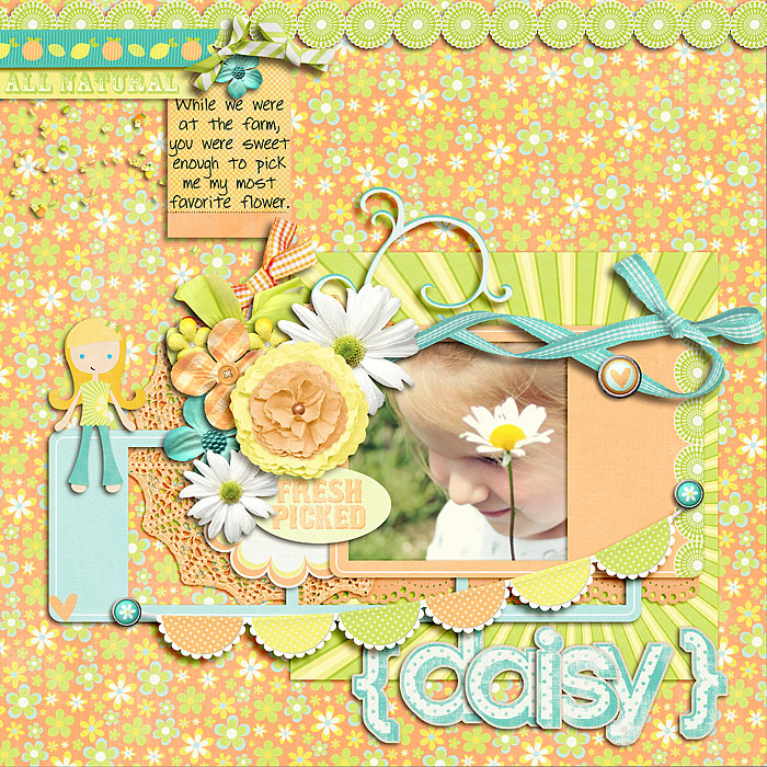 Fresh Picked Daisy