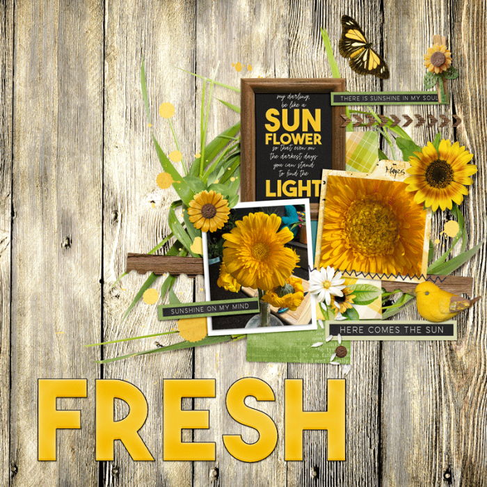 Fresh Sun