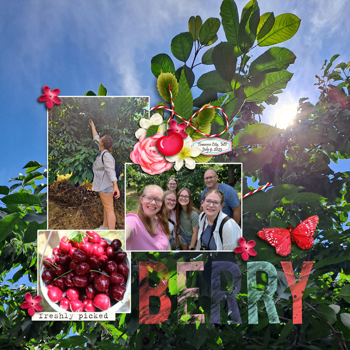 Freshly Picked