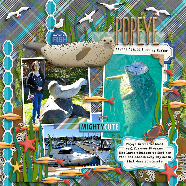 Friday Harbor Seal:  Popeye