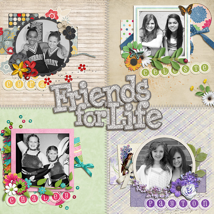 Friends For Life