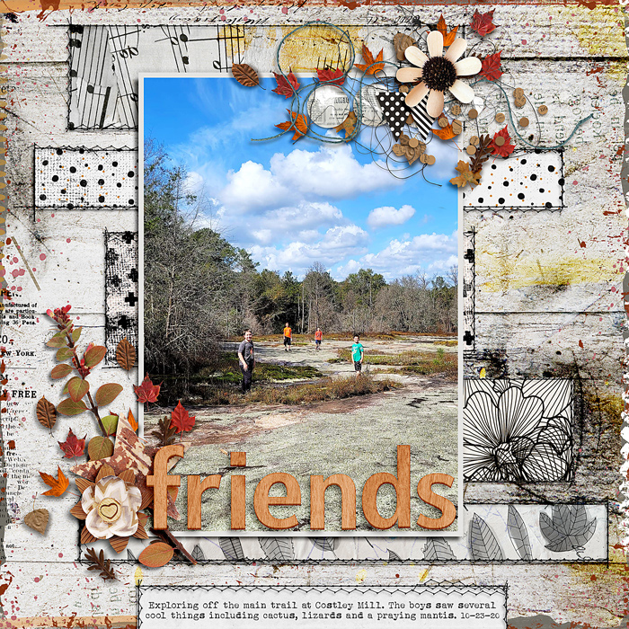 Friends