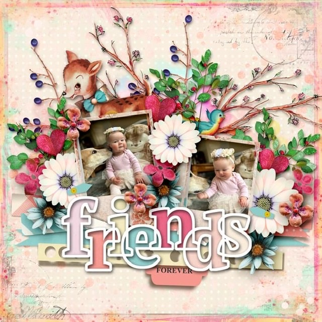 Friends