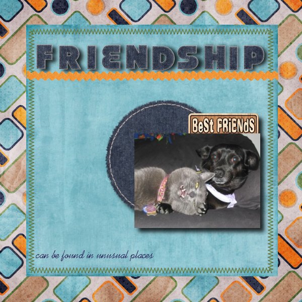 Friendship