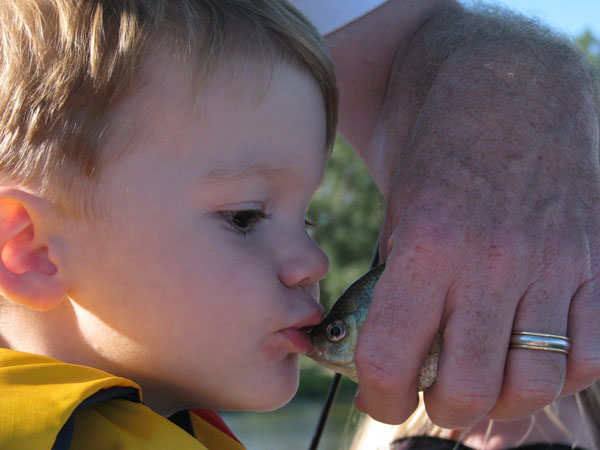 Frog Kisses