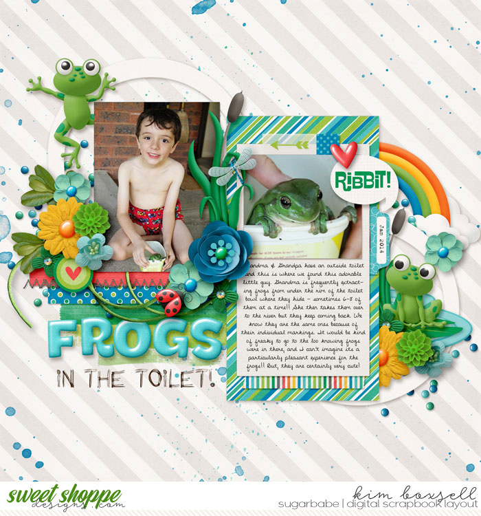 Frogs in the Toilet!