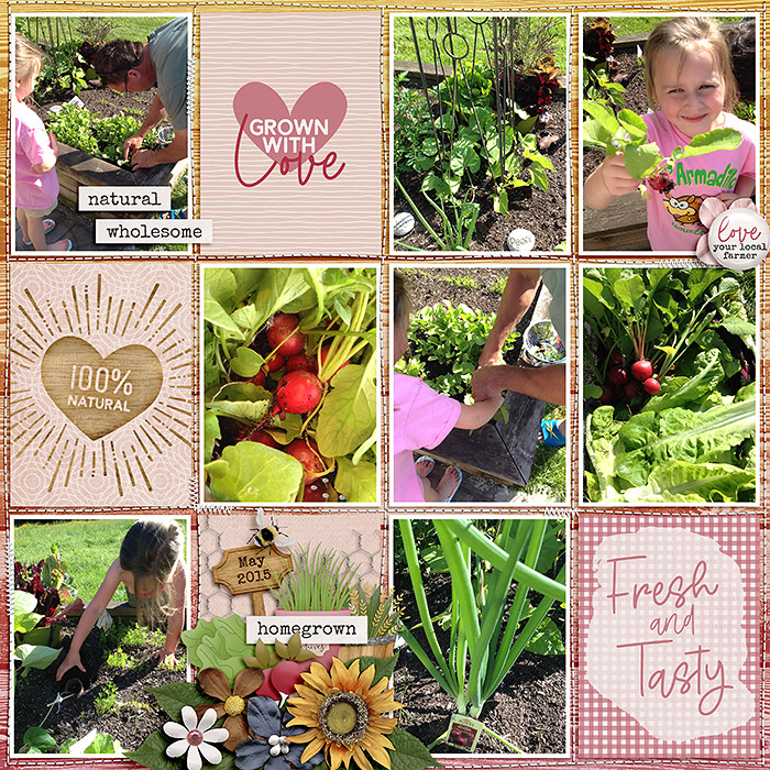 From the Garden
