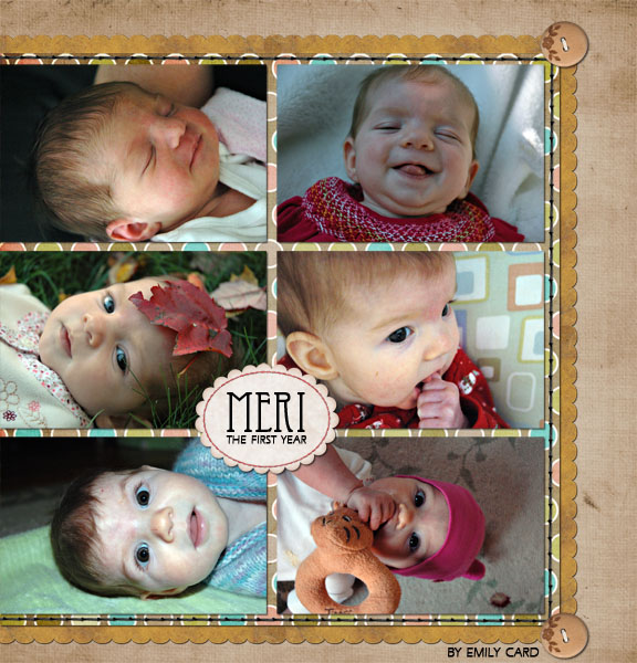 Front Cover of "the first year"