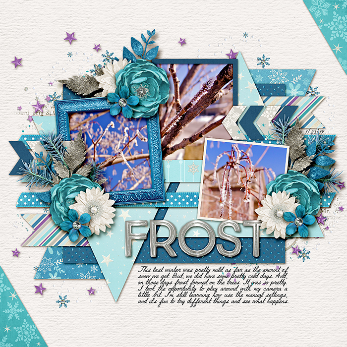 Frost