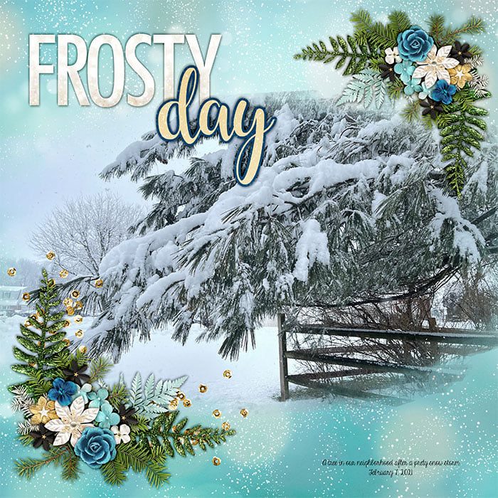 Frosty Day