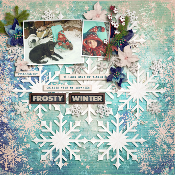 Frosty Winter