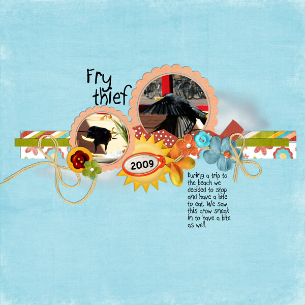 Fry thief