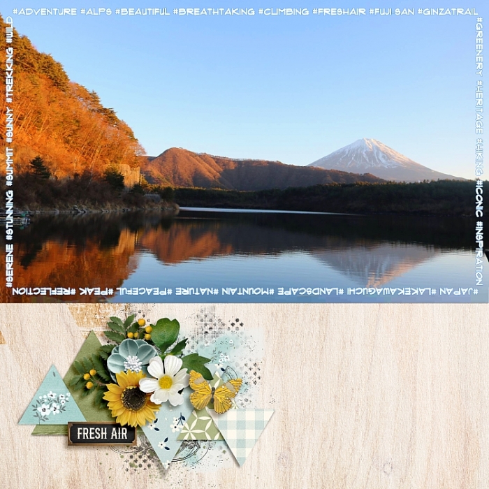 Fuji-san