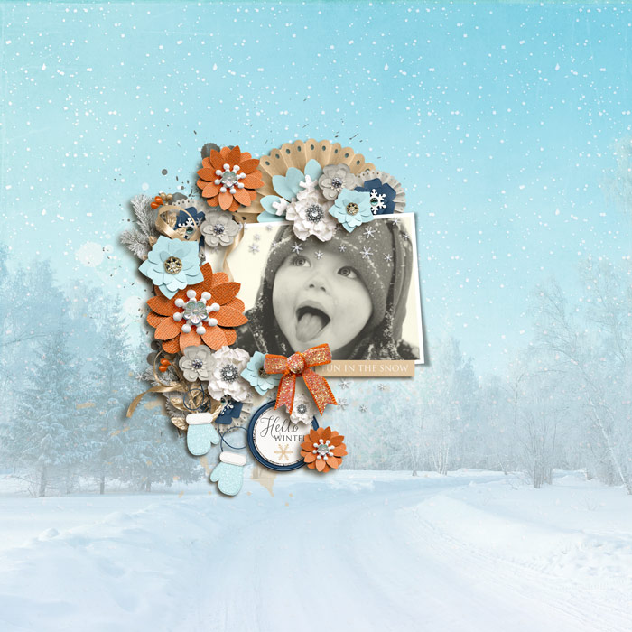 Fun in the Snow