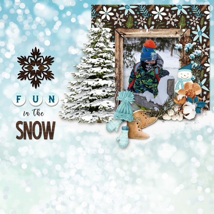 fun in the snow