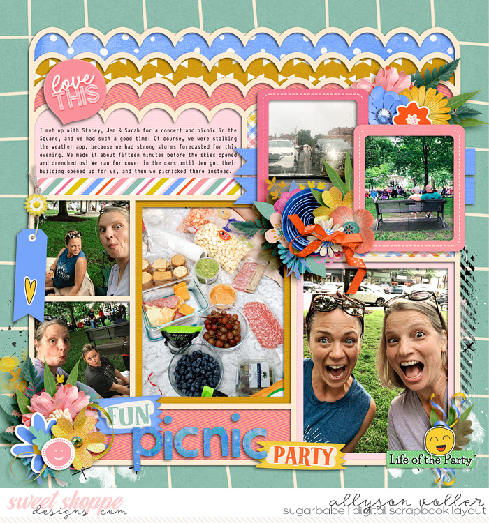 Fun Picnic party