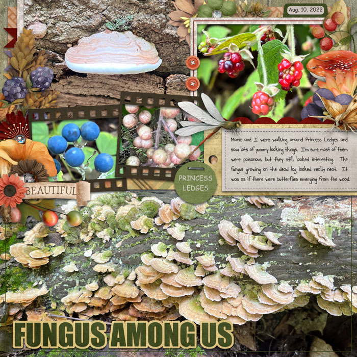 Fungus Among Us