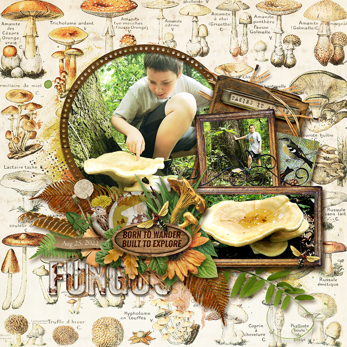 Fungus