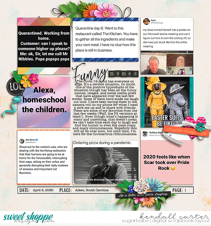 Funny Memes