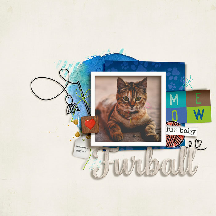 Furball