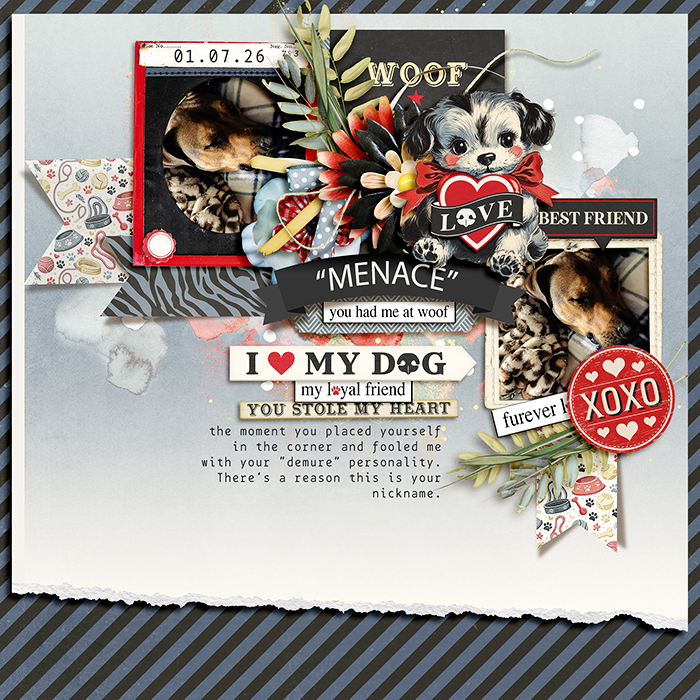 FUREVER LOVED | GAIGE