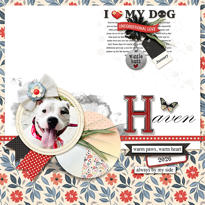 FUREVER LOVED | HAVEN