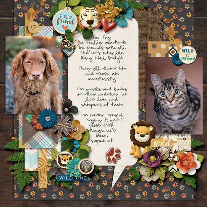 Furry Friend