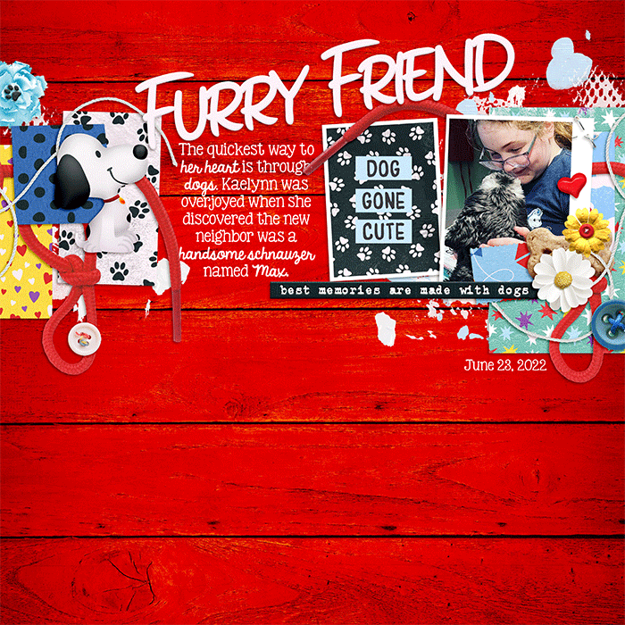 Furry Friend