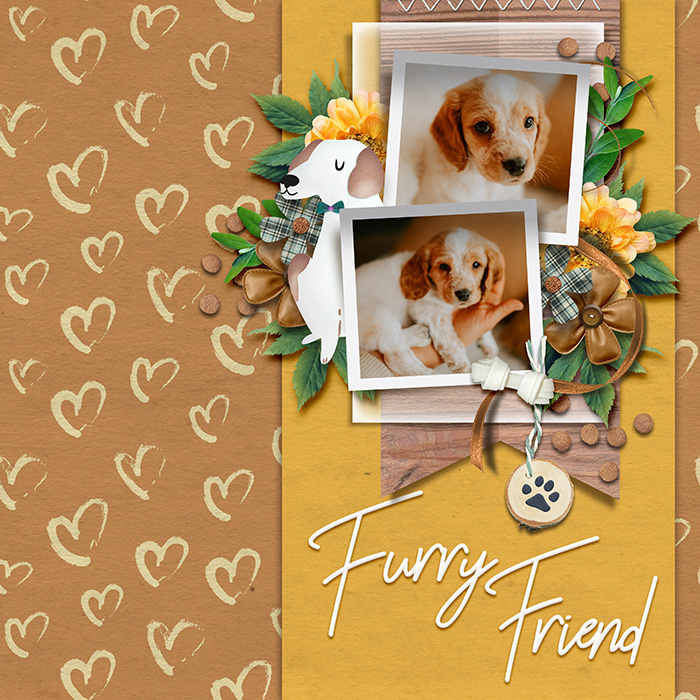 furry friend