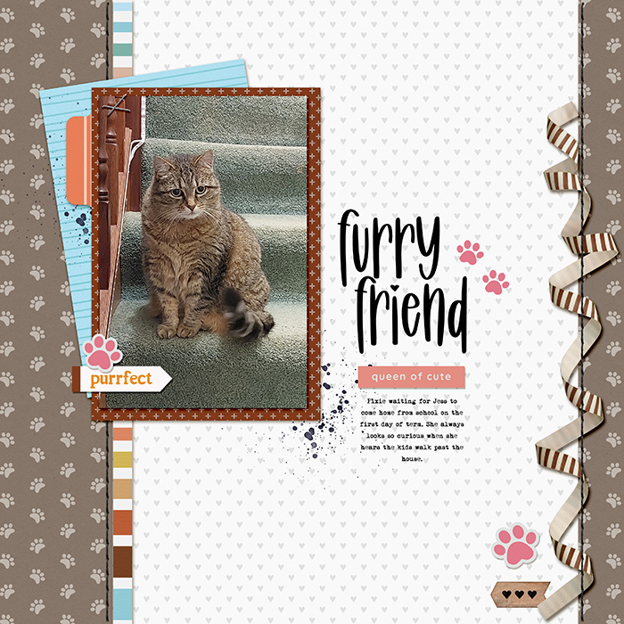 Furry Friend
